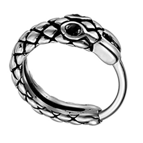 Einzigartige gestreifte Schlangen-Ohrringe, Punk, bequeme Ohrringe, Piercing, Ohrschmuck, Legierung, Textur für Modepersonen, Jugendliche von Sweeaau