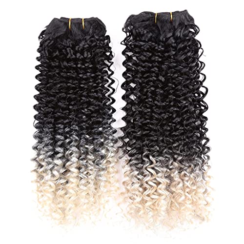 8-14Inchjerry Curly Hair Bundles Natural Synthetic Weave Curly Hair Extensions For Women Ombre 613 Gray T1B-613 14inch von Sweejim