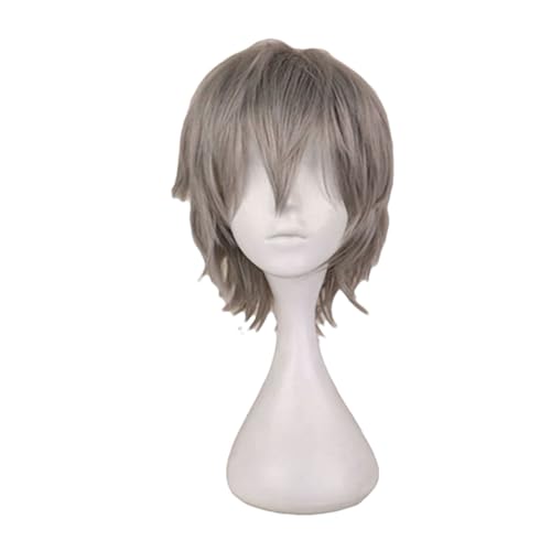 Halloween-Kostüme, Cosplay-Perücken Für Männer Und Frauen, Hitzefaser-Perücke, 30,5 Cm gray One Size von Sweejim