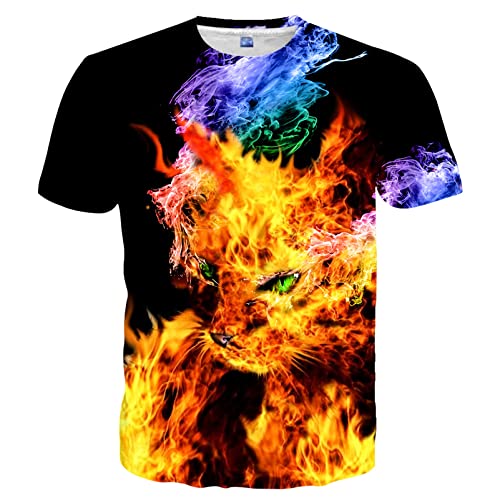 SYAIMN Unisex 3D-Druck Shirts Lässige Kurzarm Grafik Tees Lustige Sommer Tops für Männer Frauen, flame, Groß von Syaimn