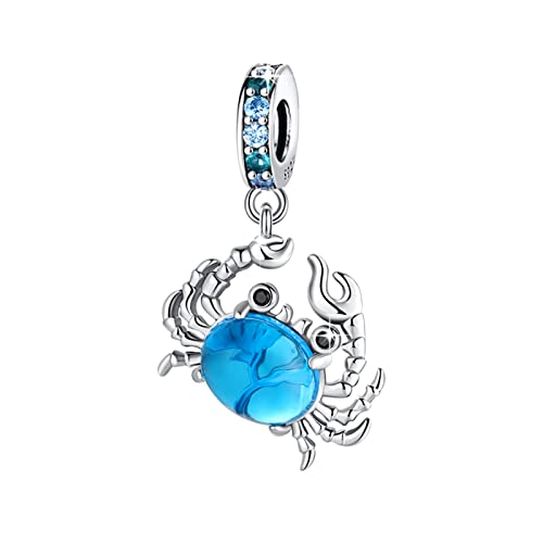 Symretie Charm Anhänger Damen 925 Sterling Silber für Armband Charms Beads passend für Pandora Armband und Halskette, Kompatibel mit Europäischen Armbänder für Frauen Mädchen Symretie Charm Anhänger Damen 925 Sterling Silber für Armband Charms Beads passend für Pandora Armband und Halskette, Kompatibel mit Europäischen Armbänder für Frauen Mädchen von Symretie