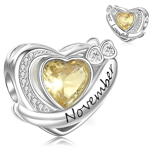 Symretie Charms Geburtsstein November Anhänger Charm aus 925er Sterlingsilber,Liebesherz-Anhänger mit Geburtsstein Geburtstagsgeschenke für Frauen Symretie Charms Geburtsstein November Anhänger Charm aus 925er Sterlingsilber,Liebesherz-Anhänger mit Geburtsstein Geburtstagsgeschenke für Frauen von Symretie