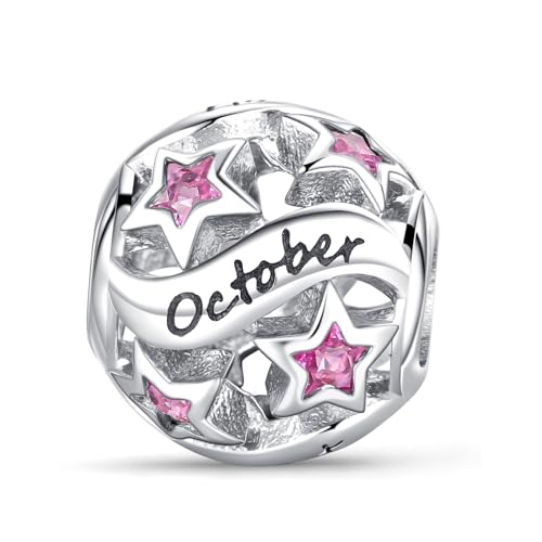 Symretie Damen Charm Anhänger Geburtsstein für Armband 925 Sterling Silber 12 Geburtsstein Charms Beads passend für Pandora Armband, Kompatibel mit Europäischen Armband und Halskette für Frauen Mädche Symretie Damen Charm Anhänger Geburtsstein für Armband 925 Sterling Silber 12 Geburtsstein Charms Beads passend für Pandora Armband, Kompatibel mit Europäischen Armband und Halskette für Frauen Mädche von Symretie