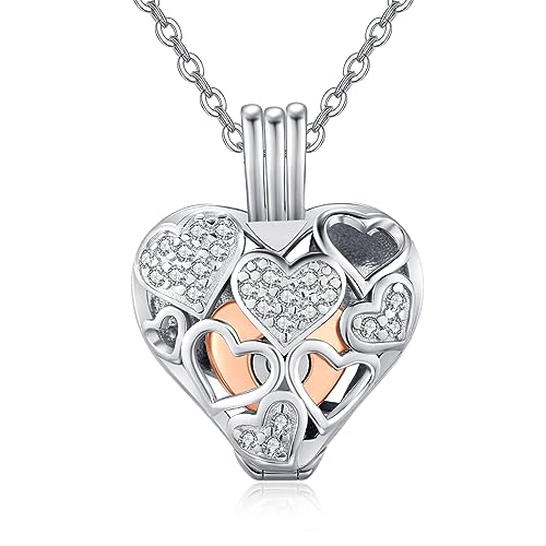 TANGPOET Asche Halskette 925 Sterling Silber Urnenketten für Asche Herz Memorial Feuerbestattung Schmuck Asche Andenken Anhänger Geschenke für Mama Papa Frauen Männer Haustier mit Trichterfüller Kit von TANGPOET