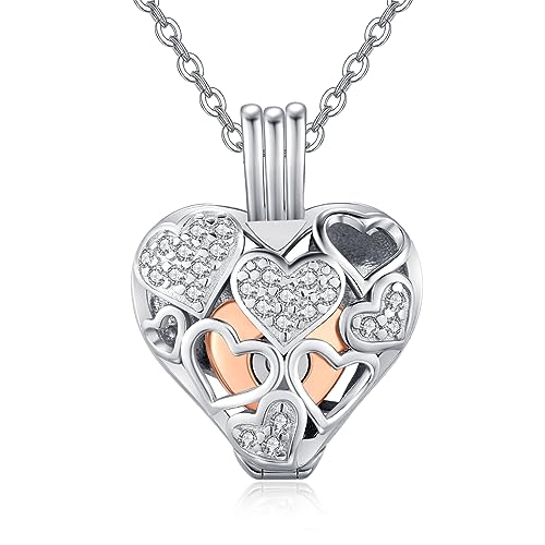 TANGPOET Asche Halskette 925 Sterling Silber Urnenketten für Asche Herz Memorial Feuerbestattung Schmuck Andenken Anhänger Geschenke für Mama Papa Frauen Männer Haustier mit Trichterfüller Kit von TANGPOET
