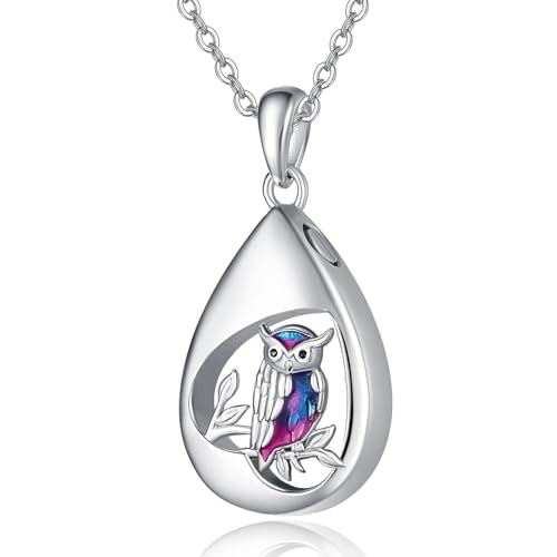 TANGPOET Tropfen Asche Halskette 925 Sterling Silber Eule Urn Halskette, Urnenketten für Asche Anhänger, Geschenke für Frauen Mädchen, mit Trichter Füller Kit von TANGPOET