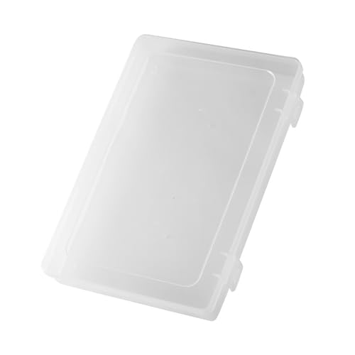 Nagel-Display-Box, Acryl-Nagelbox-Organizer, Staubdicht, Große Kapazität, Tragbar, Leer, Nagelverpackung, Transparent (L (24 cm/9,4 Zoll 3L)) von TARSHYRY