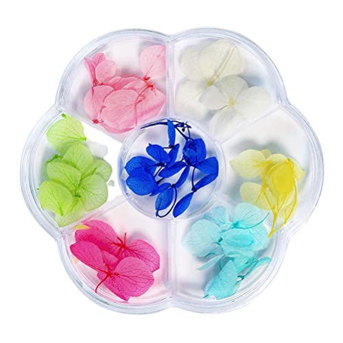 TARSHYRY Nägel DIY Getrocknete Blumendekoration Art Kit für Frauen Maniküre Dekorative Falsche Blumen Dunkle Helle Farben Frühling Sommernägel (6 Gitter-Trockenblumen 01) von TARSHYRY