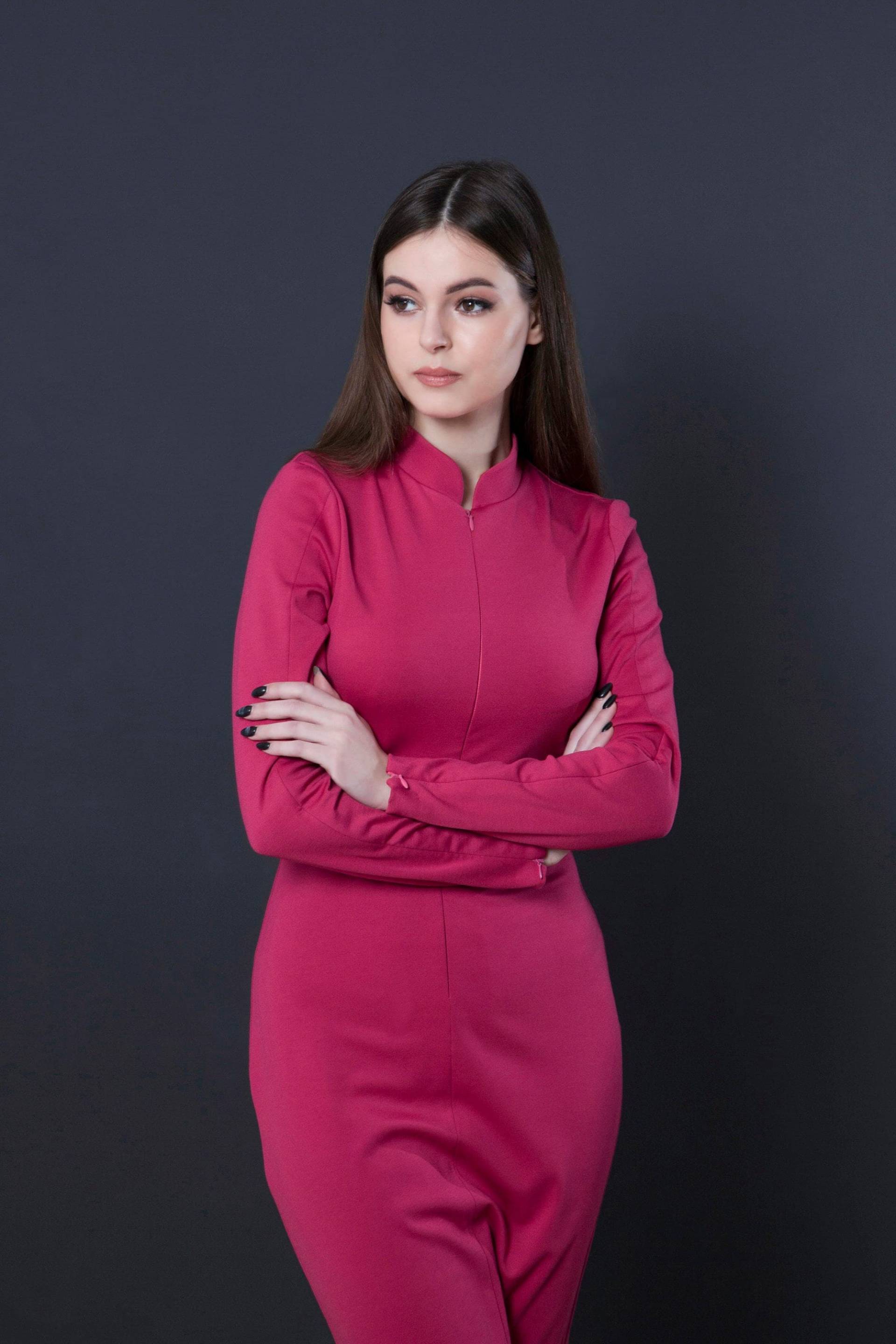 Pink Stehkragen Kleid Lange Ärmel, Reißverschluss Vorne Damen Arbeit & Büro Kleider, Bescheidenes Cocktailkleid Midi, Elegante Kleider Für Die von TAVROVSKA