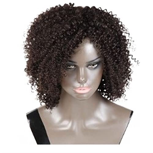 Perücke for Frauen, kurze, verworrene, lockige Perücke for schwarze Frauen, Ombre-Braun, natürlich aussehende Perücken, perfekt for Partys (Color : Ombre Brown, Size : 8 Inch) von TAYGUM