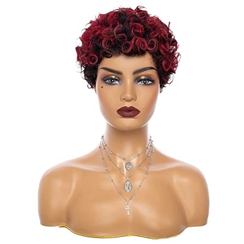 Perücken Haar for Frauen Kurze verworrene lockige Perücken for Frauen Lockiges Pixie Cut Ombre Braun Halloween Kostüm Cosplay Perücke Charmant for den Alltag (Color : Weinrot) von TAYGUM