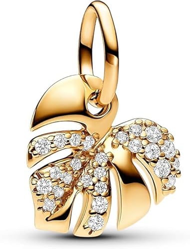 TCZNAF Gold Charms -Anhänger aus Sterling-Silber mit Zirkonia Steinen für Europäische Armbänder Halsketten Muttertag Bead Charm für Damen TCZNAF Gold Charms -Anhänger aus Sterling-Silber mit Zirkonia Steinen für Europäische Armbänder Halsketten Muttertag Bead Charm für Damen von TCZNAF
