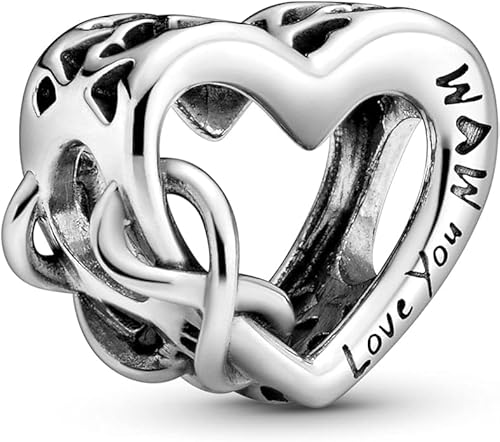 TCZNAF Liebe deine Mutter Armband Charms kompatibel mit Europäische Armbänder Halsketten Muttertag Bead Charm für Damen von TCZNAF