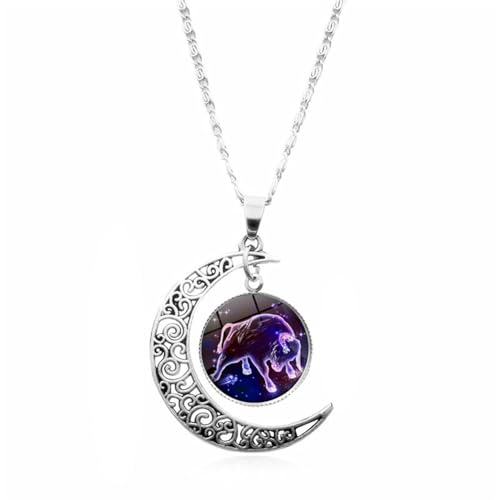 12 Sternzeichen-Halskette – Kette Zeit Mond Edelstein Horoskop Symbol Anhänger Halskette – Sternzeichen Sternbild Horoskop Himmlische Astrologie Schmuck – Damen Herren Paar Geschenk, Stier, 45 Cm von TDNEKMCA