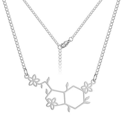 TEAMER Glücklichsein Serotonin Molecule Halskette Edelstahl Modischer Wissenschaftlicher Chemie-Schmuck Für Frauen Männer (Silber) von TEAMER