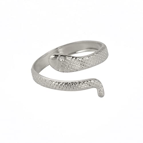 TEAMER Schlange Ring Verstellbarer Fingerring aus Edelstahl Wickel-Schlangenring Stapelbarer Ring Punk Schlange Tierschmuck für Frauen (Stil 6 -Silber) von TEAMER