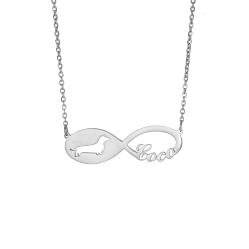TEAMER Zierliche Halskette mit Individuellem Hundenamen und Unendlichkeitssymbol Dackel Labrador Personalisierter Schmuck mit Gravur für Ihr Haustier für Damen und Herren von TEAMER