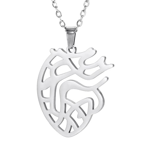 TEAMER Zierliche anatomische Herzkette Echter menschlicher Herzanhänger Medizinischer Wissenschafts und Biologieschmuck für Ärzte Krankenschwestern Lehrer Studenten Frauen und Männer (Silber) von TEAMER