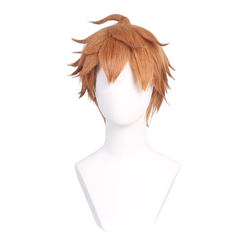 Game Cosplay Perücke für Genshin Impact-Ajax von TEANSAN