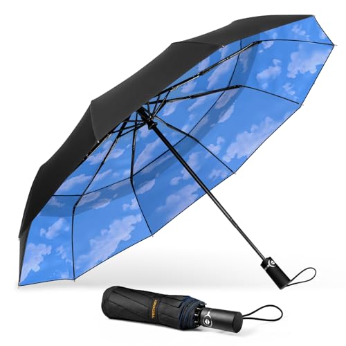 TECKNET Regenschirm Sturmfest für Regen, Automatik Groß Taschenschirm mit 10 Rippen, 104 cm Windsicher Schirm, Faltbar Kompakte Reise Golf Umbrella für Herren und Damen von TECKNET