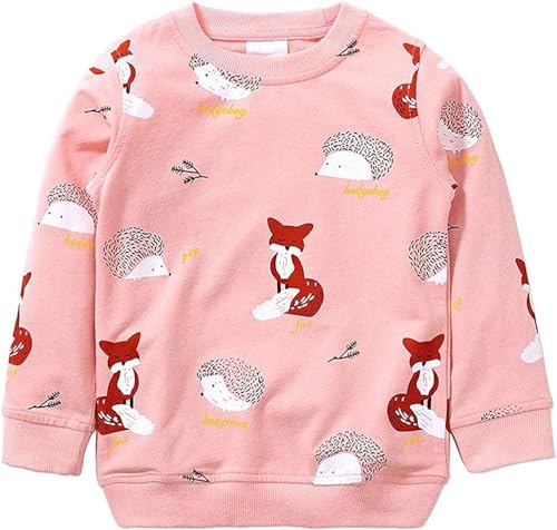 Mädchen Sweatshirt für Kinder Süß Cartoon Pullover Baumwolle Top Langarm T-Shirt Größe 1-2 Jahre von TEDD