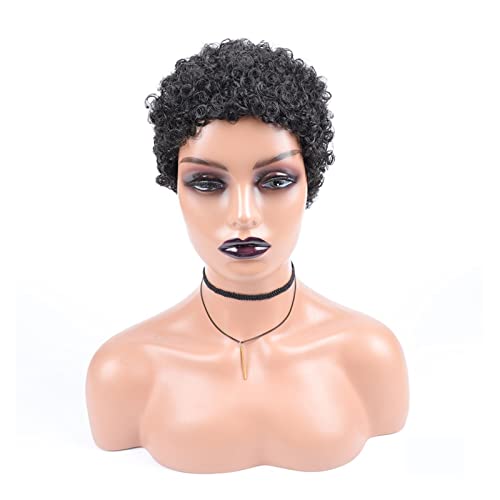 TEESONG Damen Perücken Kurzhaarperücken Synthetisches Haar Afro für Schwarze Frauen Kurze Frisuren Haarperücke Haarperücke(01) von TEESONG