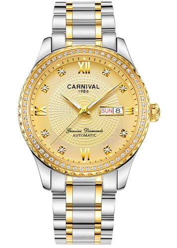 TEINTOP Armbanduhren für Herren Mechanische Uhr Bergkristall Inlay Lünette Automatikuhren (Silber Gold) von TEINTOP