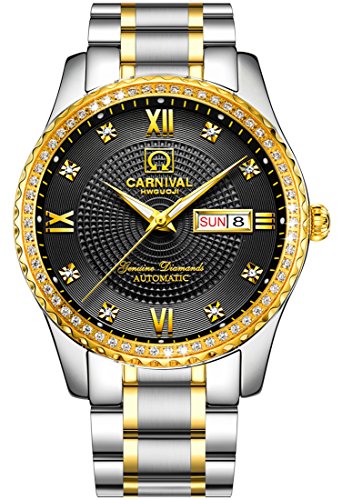 TEINTOP Armbanduhren für Herren Mechanische Uhr Bergkristall Inlay Lünette Automatikuhren (Silber Gold Schwarz) von TEINTOP