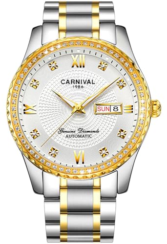 TEINTOP Armbanduhren für Herren Mechanische Uhr Bergkristall Inlay Lünette Automatikuhren (Silber Gold Weiß) von TEINTOP