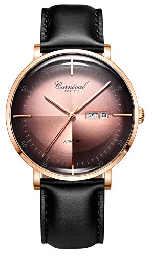 TEINTOP Automatik Uhr Herren Mechanische Japanische Bewegung Gebogen Kristall(Rose Gold Rot) von TEINTOP