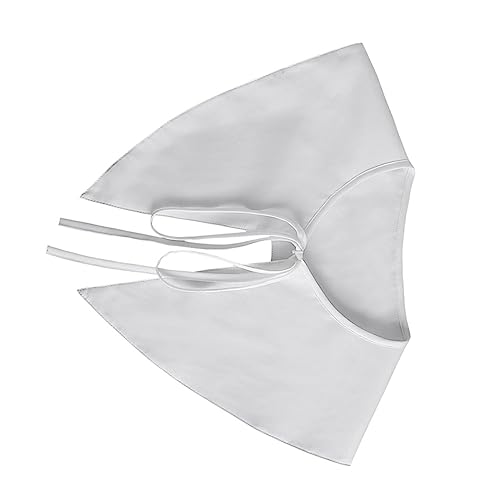 TEMPNAP Detachable Fake Collar Für Damen Abnehmbarer Fake-kragen Bluse Elegante Spitze Für Frühling Und Herbst Vielseitig Kombinierbar Mit Pullovern Und Kleidern Eine Passt Meisten von TEMPNAP