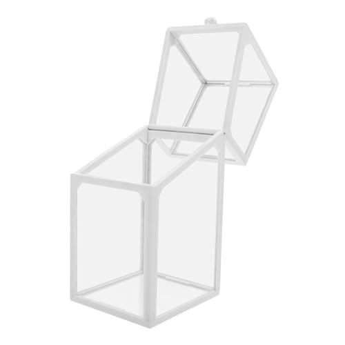 TEMPNAP Box Acryl Stifthalter Langhantelhalterung Haustierhut Federmäppchen Mit Deckel Schlüsselband Make Up Pinsel Federmäppchen Rack Halterung Anhänger Bequeme Quaste Aufblasbare von TEMPNAP