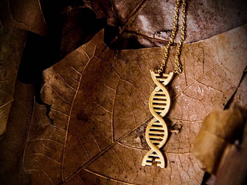 Dna Halskette, Gold Filled Wissenschaft Liebe, Geekery Geschenk, Silberschmuck, Handgemachter Schmuck Dna Halskette, Gold Filled Wissenschaft Liebe, Geekery Geschenk, Silberschmuck, Handgemachter Schmuck von TEOMANDESIGN