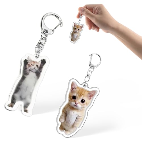 TEOZBLU 2 StüCk Witziger Katzen SchlüSselanhäNger, SüßEr Geschenke, Katze AnhäNger, Cute Cat, Matching Keychain, Rucksack SchlüSselanhäNger von TEOZBLU