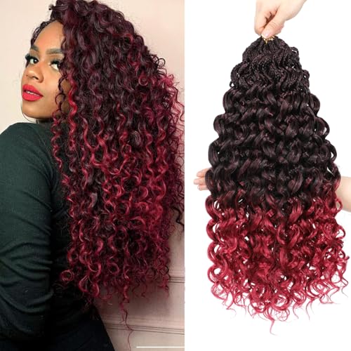 Lanse Gogo Curl Crochet Hair 18 Inch 8 Packs Ocean Wave Deep Twist Goddess Box Braids Pre Looped Long Curly Water Wave Synthetic Braiding Hair for Women Girl Kids (T/Bug, 18inch) von TGYHCJBY