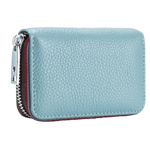 THEPOS Leder Männer Frauen Kartenhalter Kleine Reißverschluss Geldbörse Solide Geldbörse Akkordeon Design Business Kreditkartentaschen (Color : Blue) von THEPOS