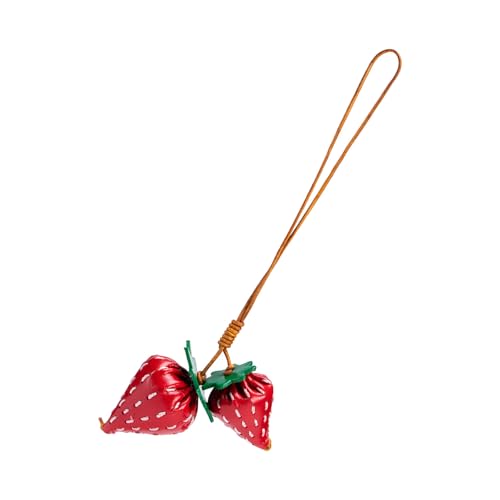 THINCAN Erdbeerbeutel Charme Anhänger Ästhetischer Geldbörse Zauber Ästhetischer Schlüsselanhänger Schlüsselring Für Frauen Rucksackbalken Handtasche Decors Bag Charms Accessoires von THINCAN