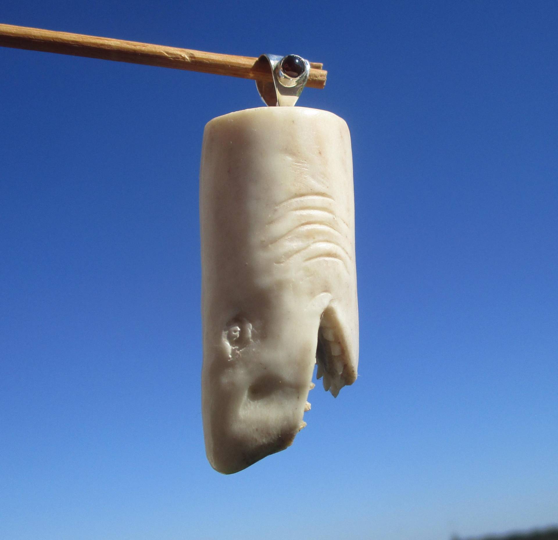 Hai Shark Haifisch - Horn Geschnitzt Anhänger Silber 925 Mit Granat Hai Shark Haifisch - Horn Geschnitzt Anhänger Silber 925 Mit Granat von THORALFWOLF