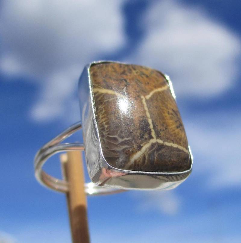 Koralle Versteinert - Petoskey Stein Aus- Ring Gr. 18 Silber 925 von THORALFWOLF