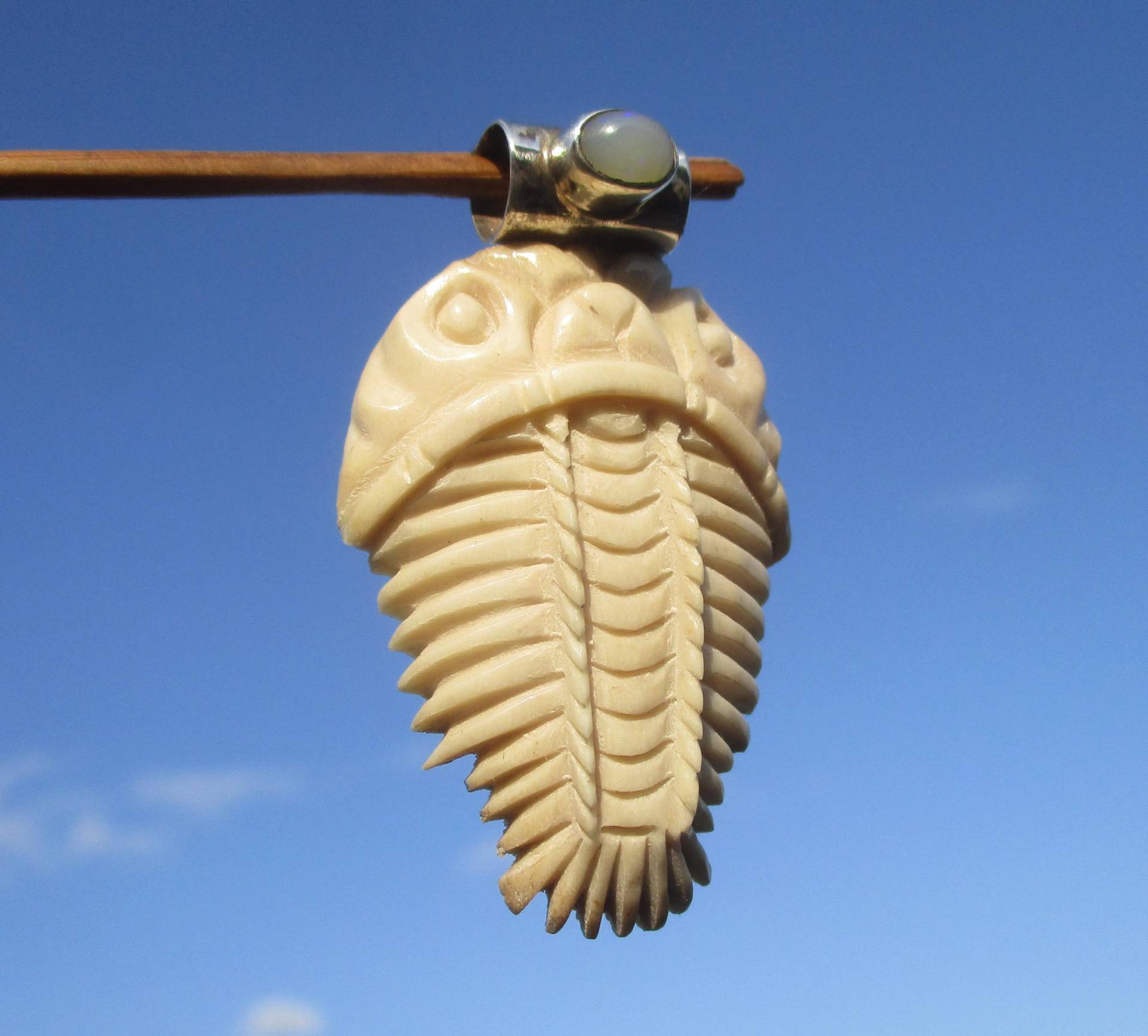 Trilobit - Horn Geschnitzt Anhänger Silber 925 Mit Opal Trilobit - Horn Geschnitzt Anhänger Silber 925 Mit Opal von THORALFWOLF
