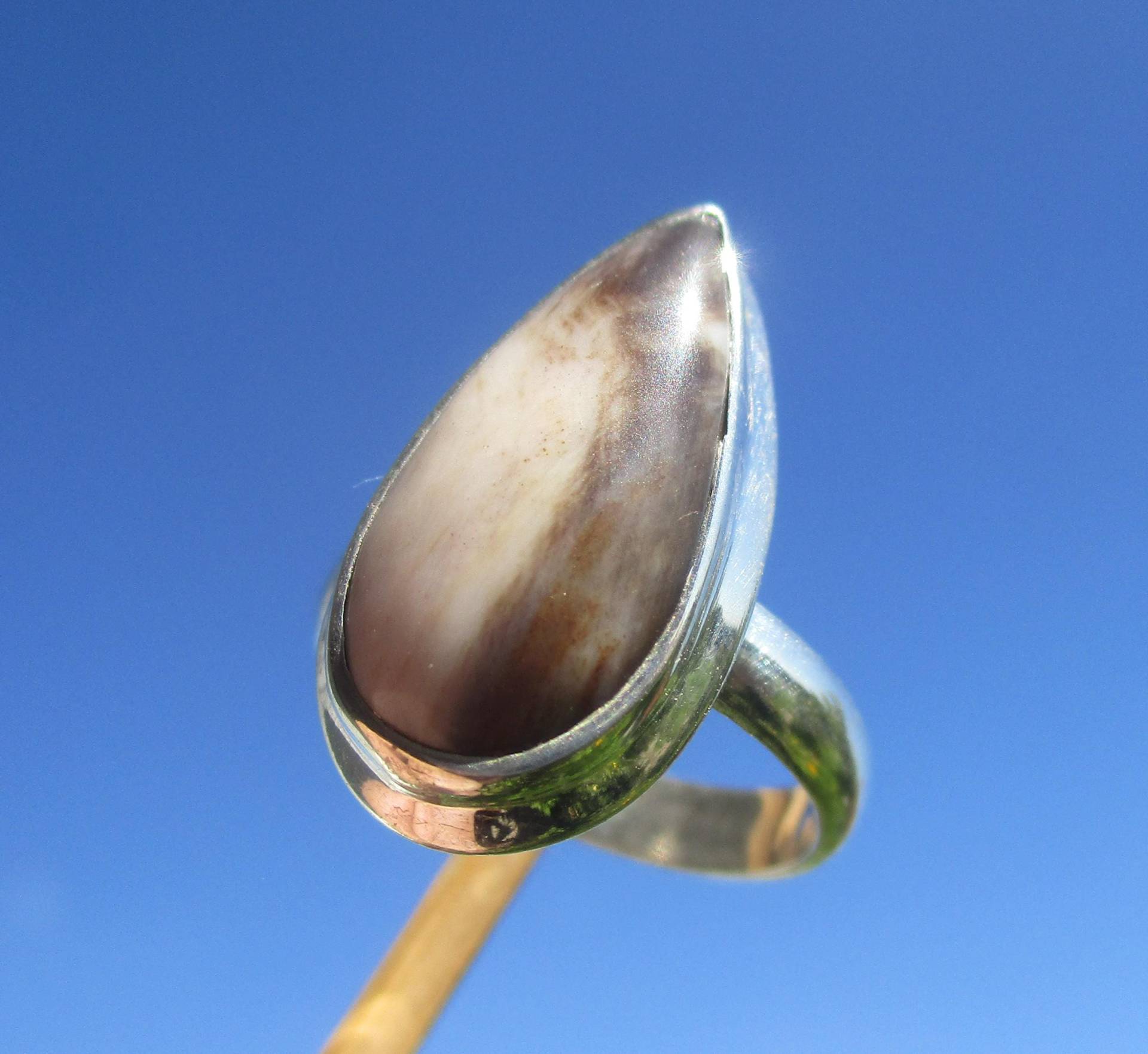 Versteinertes Holz , Ring Gr. 16, 5 - Silber 925 Versteinertes Holz , Ring Gr. 16, 5 - Silber 925 von THORALFWOLF