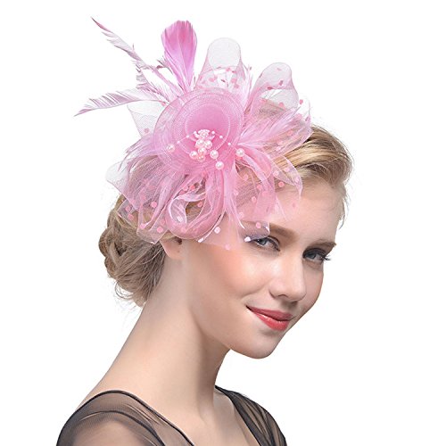 Frauen Haarschmuck mit Federn Brautnetz Schleier Kopfstück Elegante Blume Mesh Cap Perlen Haarspange Mädchen Vintage Haarnadel Fasching Haarreif für Kirchen, Teepartys, Hochzeiten, Bälle, Konzerte von TINAYAUE