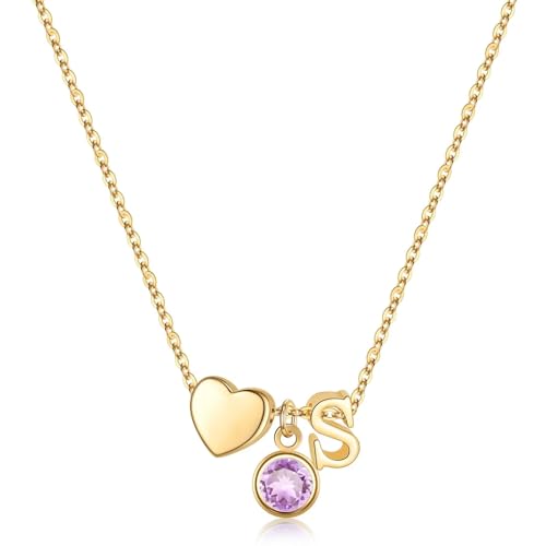 TINGN Gold Geburtsstein Kette Damen, 14K Vergoldet Februar Geburtsstein Amethyst Halskette Herz Buchstaben S Anhänger Kette Schmuck Geburtstag Geschenke für Mädchen Frauen Mutter Freundin von TINGN