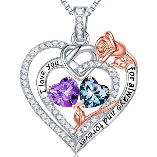 TINGN Valentinstag Geburtstag Geschenk für Sie Frauen - Februar Amethyst Juni Alexandrit Geburtsstein Halskette Damen Silber 925 Kette Schmuck Jahrestag Geburtstag Geschenke für Sie Mutter Ehefrau TINGN Valentinstag Geburtstag Geschenk für Sie Frauen - Februar Amethyst Juni Alexandrit Geburtsstein Halskette Damen Silber 925 Kette Schmuck Jahrestag Geburtstag Geschenke für Sie Mutter Ehefrau von TINGN