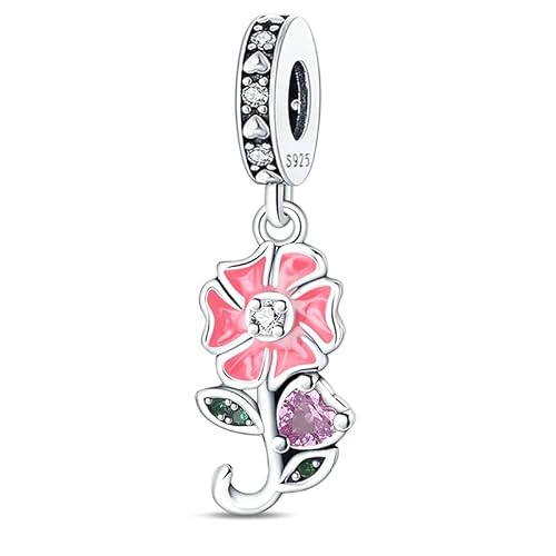 TINSLO Charm Anhänger Damen 925 Sterling Silber für Armband Charms Beads passend für Pandora Armband und Halskette, Kompatibel mit Europäischen Armbänder für Frauen Mädchen B1 TINSLO Charm Anhänger Damen 925 Sterling Silber für Armband Charms Beads passend für Pandora Armband und Halskette, Kompatibel mit Europäischen Armbänder für Frauen Mädchen B1 von TINSLO