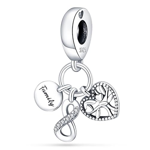 TINSLO Charm Anhänger Damen 925 Sterling Silber für Armband Charms Beads passend für Pandora Armband und Halskette, Kompatibel mit Europäischen Armbänder für Frauen Mädchen von TINSLO
