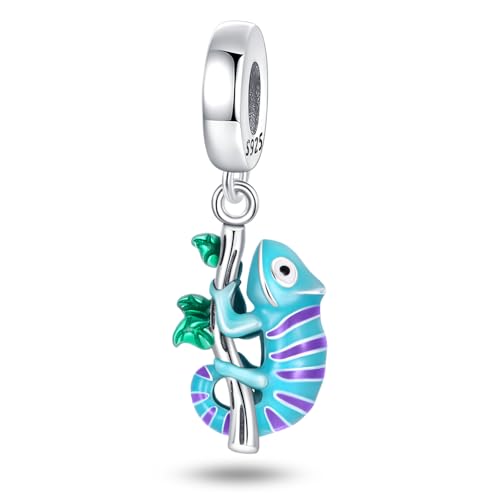 TINSLO Charm Anhänger Damen 925 Sterling Silber für Armband Charms Beads passend für Pandora Armband und Halskette, Kompatibel mit Europäischen Armbänder für Frauen Mädchen B9 von TINSLO
