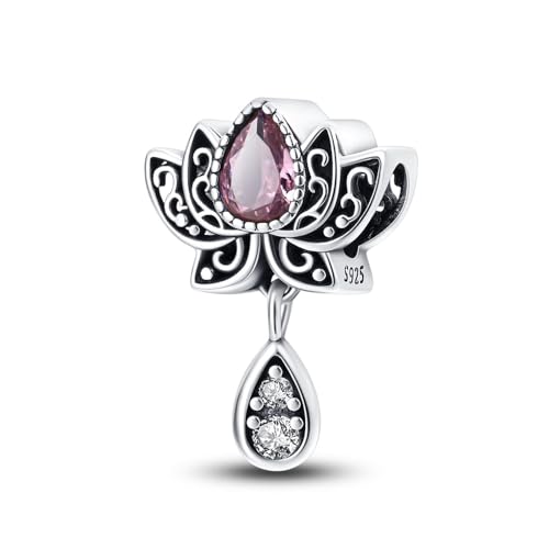 TINSLO Charm Anhänger Damen 925 Sterling Silber für Armband Charms Beads passend für Pandora Armband und Halskette, Kompatibel mit Europäischen Armbänder für Frauen Mädchen B3 von TINSLO