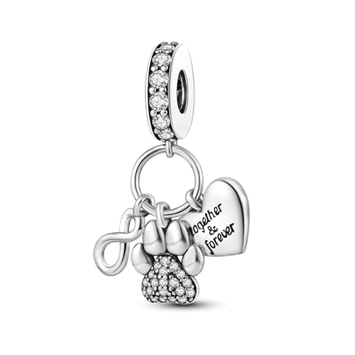 TINSLO Charm Anhänger Damen 925 Sterling Silber für Armband Charms Beads passend für Pandora Armband und Halskette, Kompatibel mit Europäischen Armbänder für Frauen Mädchen von TINSLO