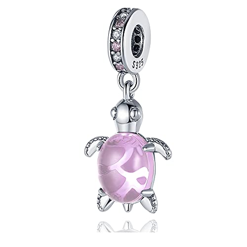 TINSLO Charm Anhänger Damen 925 Sterling Silber für Armband Charms Beads passend für Pandora Armband und Halskette, Kompatibel mit Europäischen Armbänder für Frauen Mädchen B1 von TINSLO